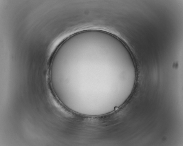 X0000111011511200906191155