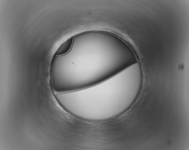 X0000111011512200906191155