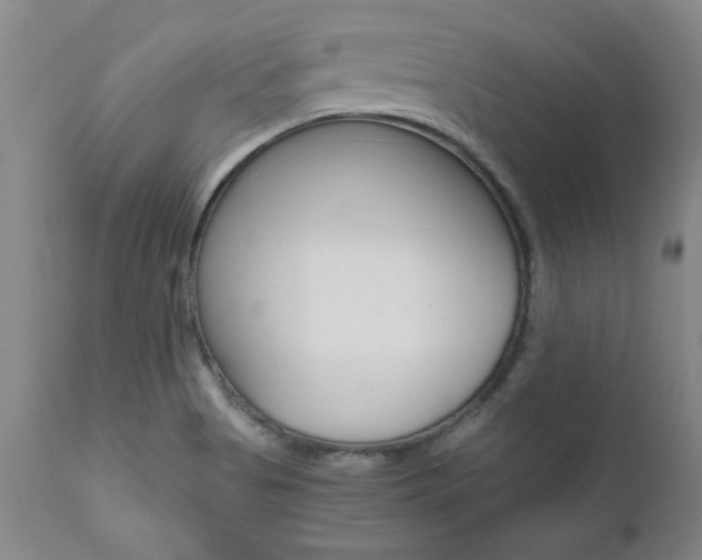 X0000111011513200906191155