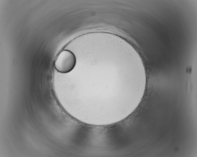 X0000111011514200906191155