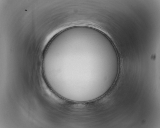 X0000111011515200906191155