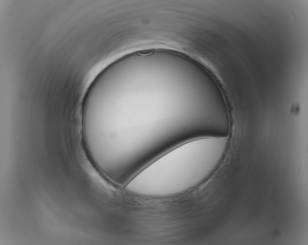 X0000111011516200906191155