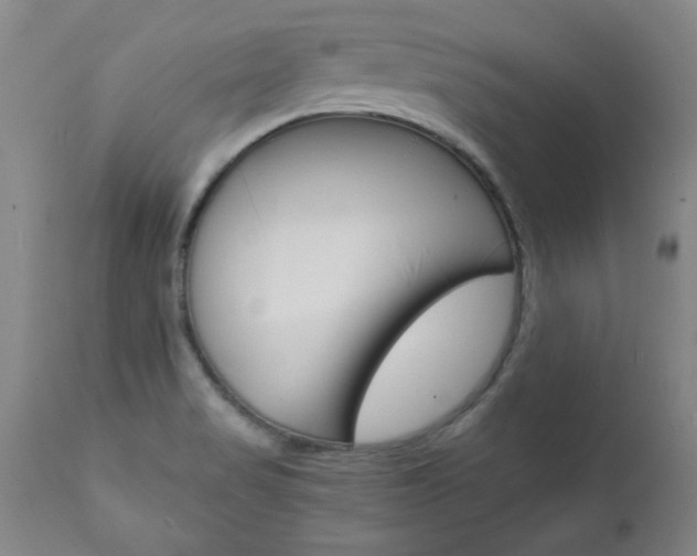 X0000111011517200906191155