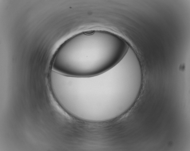 X0000111011518200906191155