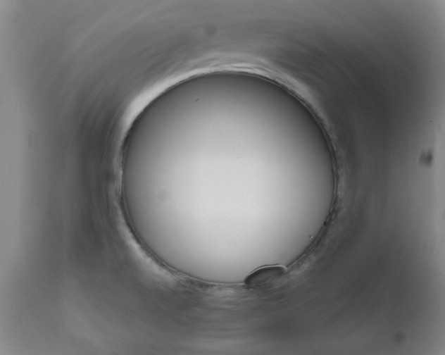 X0000111011520200906191155