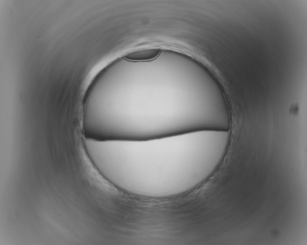 X0000111011522200906191155