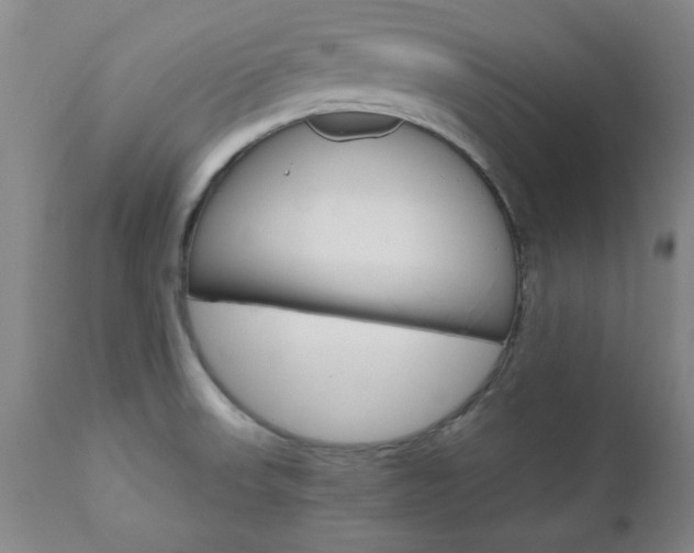 X0000111011523200906191155