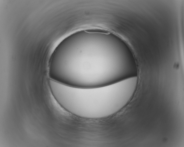 X0000111011524200906191155