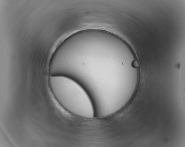 X0000111011525200906191155