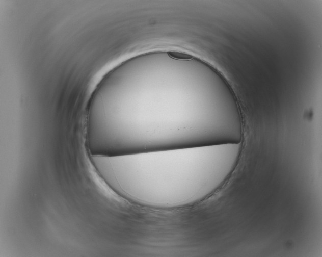X0000111011526200906191155