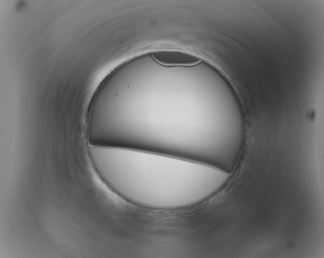 X0000111011527200906191155