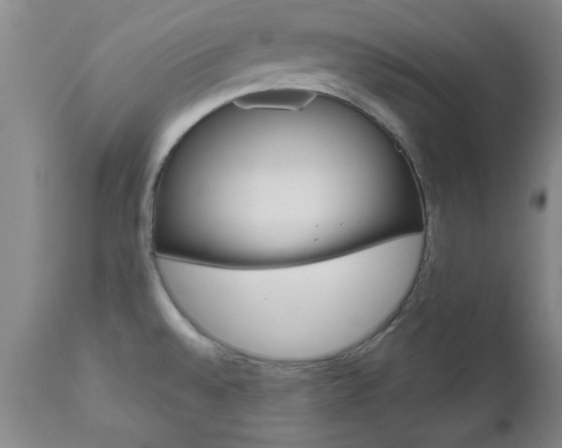 X0000111011528200906191155