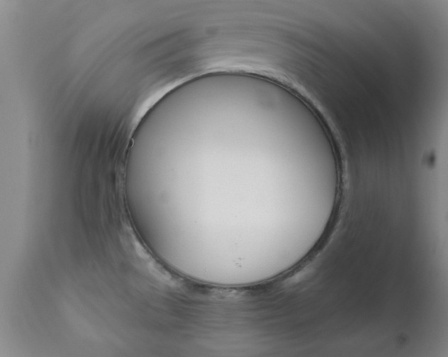 X0000111011529200906191155