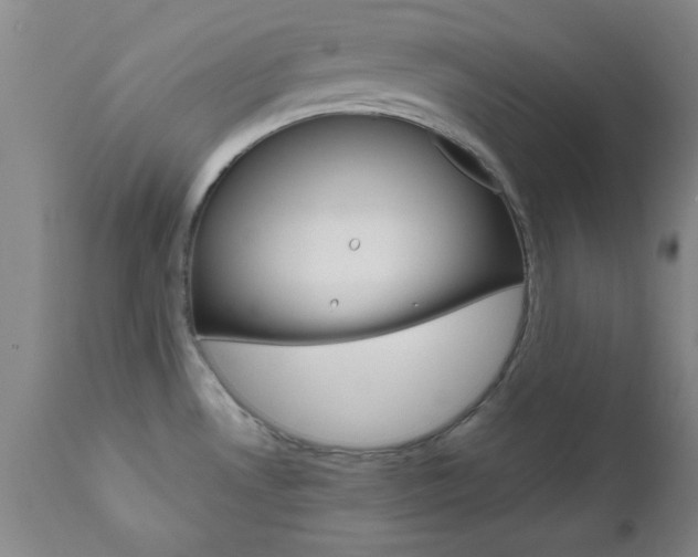 X0000111011530200906191155