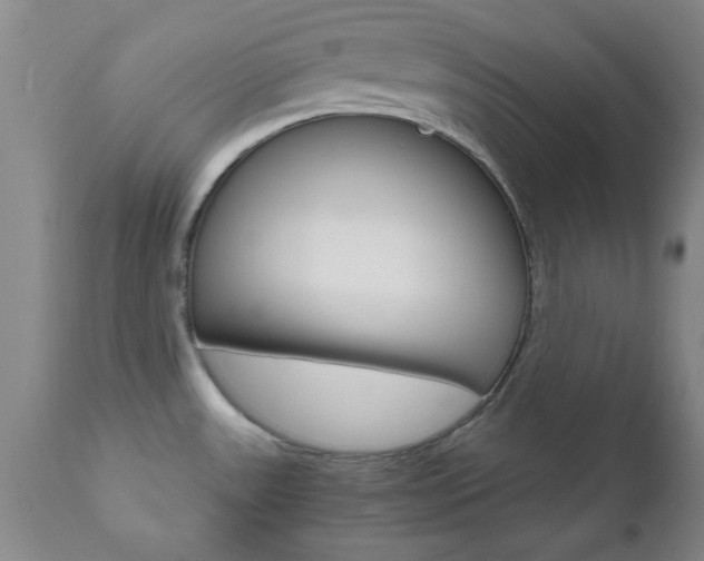 X0000111011531200906191155