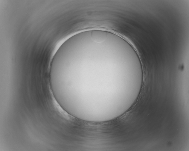 X0000111011532200906191155