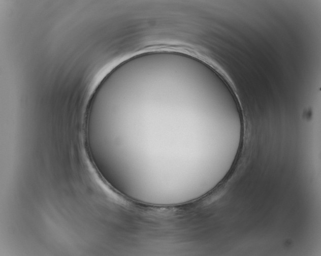 X0000111011533200906191156