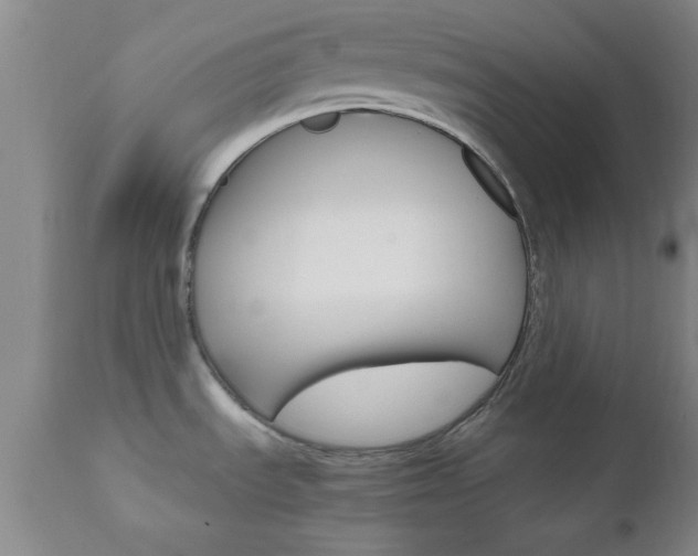 X0000111011535200906191156