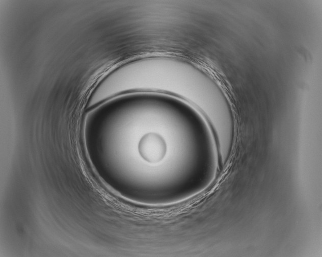 X0000111010001200906191621