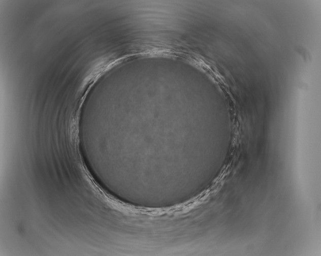 X0000111010002200906191621