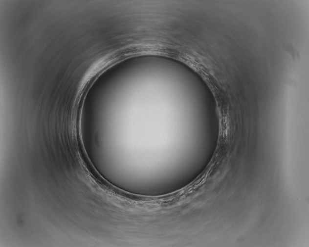X0000111010004200906191621