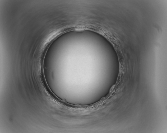 X0000111010005200906191621
