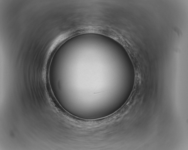X0000111010006200906191621