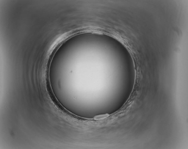 X0000111010007200906191621