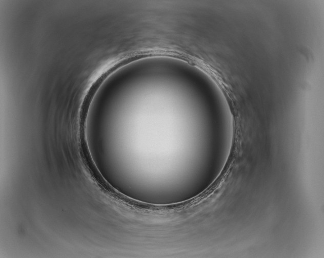 X0000111010008200906191621