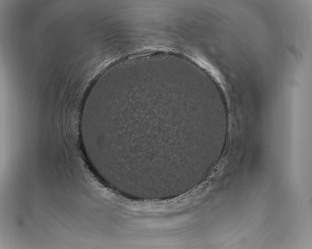 X0000111010009200906191621