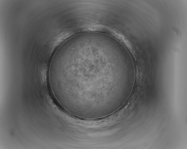 X0000111010010200906191621