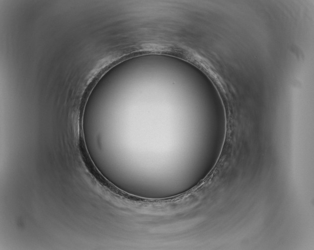 X0000111010011200906191621