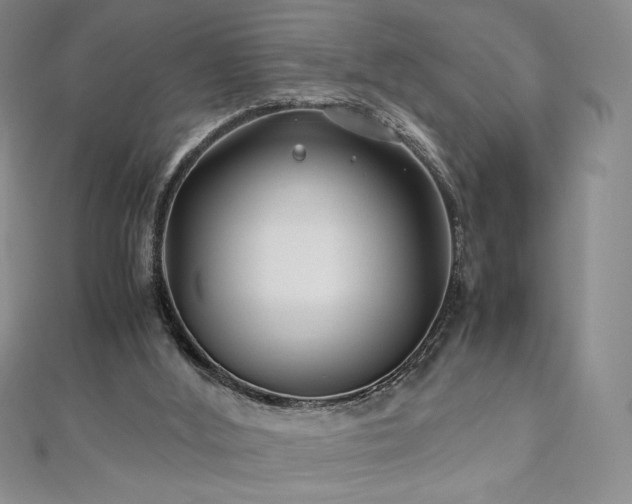 X0000111010012200906191621