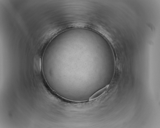 X0000111010013200906191621