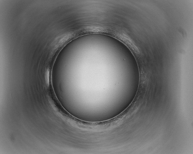 X0000111010014200906191621
