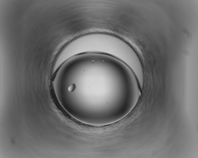 X0000111010015200906191621