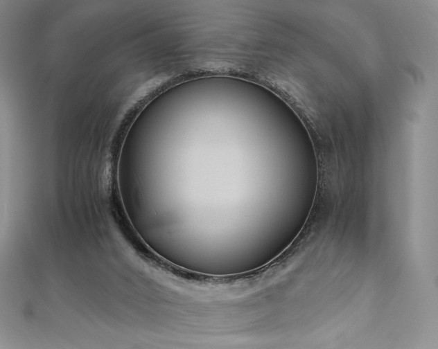 X0000111010016200906191621