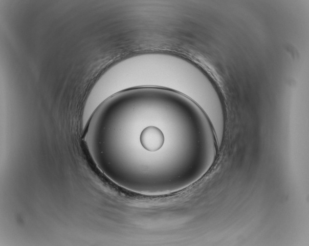 X0000111010017200906191621