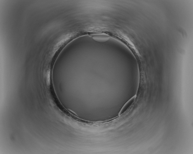 X0000111010019200906191621
