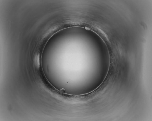 X0000111010020200906191621