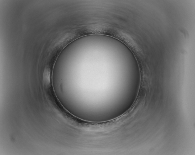 X0000111010021200906191621