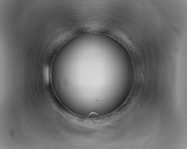 X0000111010022200906191621