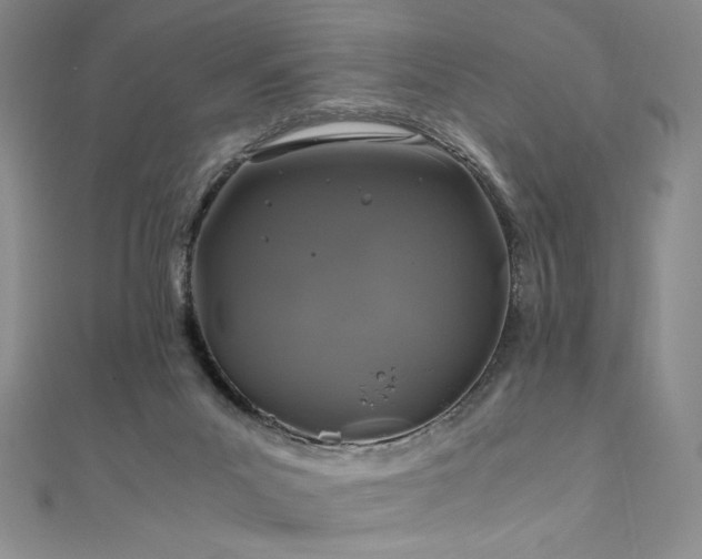 X0000111010023200906191621