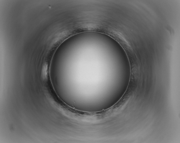 X0000111010024200906191621