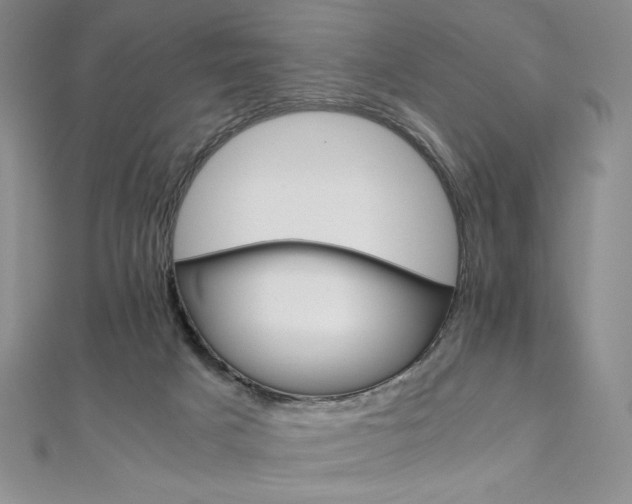 X0000111010025200906191621