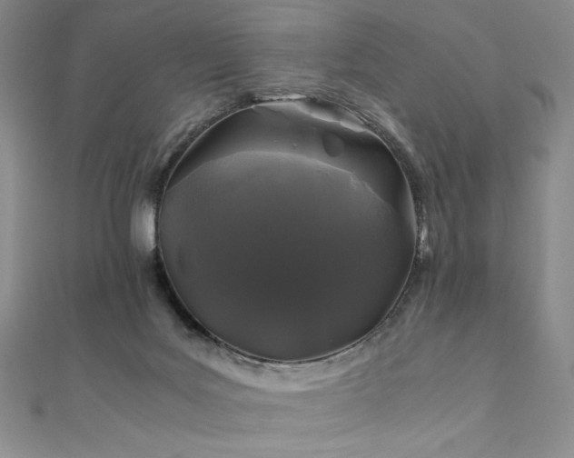 X0000111010027200906191621