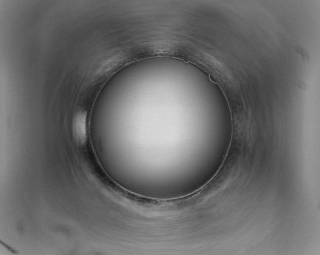 X0000111010028200906191621