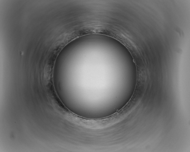 X0000111010030200906191621
