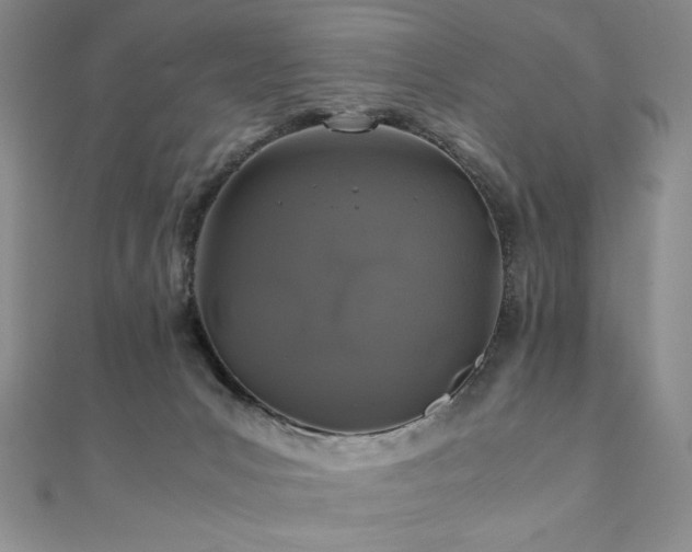 X0000111010031200906191621