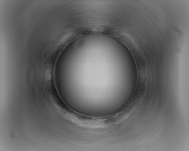 X0000111010032200906191621